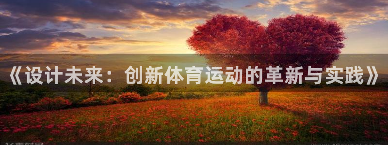 千亿国际官网下载平台是正规平台吗:《设计未来:创新体育运动的