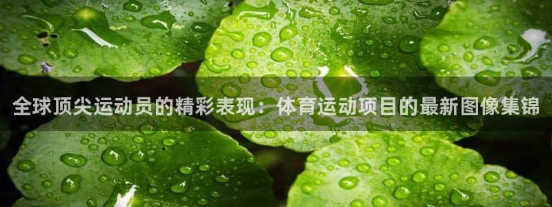 千亿国际官方正版app代理:全球顶尖运动员的精彩表现:体育运