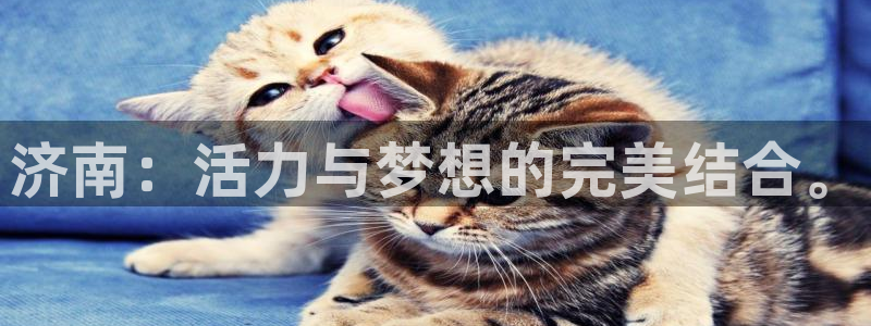 千亿国际官方正版app集团简介:济南:活力与梦想的完美结合。