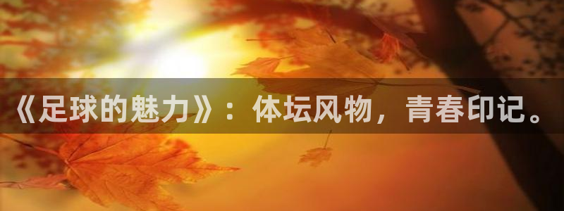 千亿国际官网下载软件:《足球的魅力》:体坛风物,青春印记。