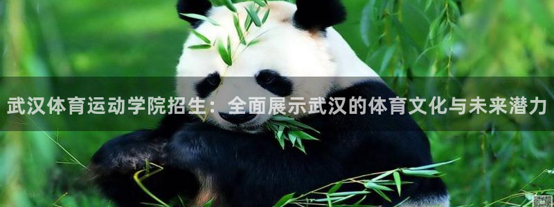 千亿国际官网下载:武汉体育运动学院招生:全面展示武汉的体育文