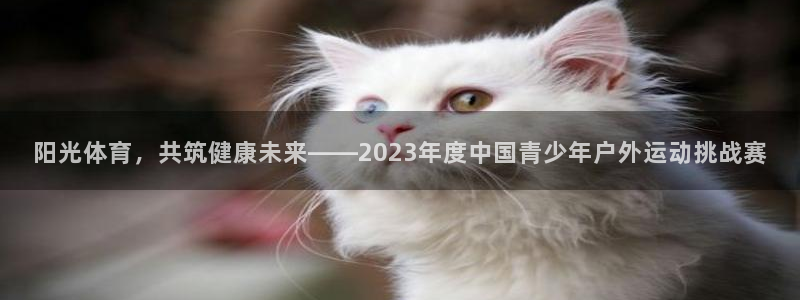 千亿国际官网下载平台注册流程视频:阳光体育,共筑健康未来——