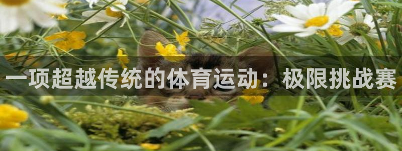 千亿国际官网下载是干嘛的公司:一项超越传统的体育运动:极限挑