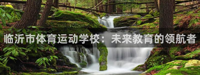 注册千亿国际官方正版app:临沂市体育运动学校:未来教育的领