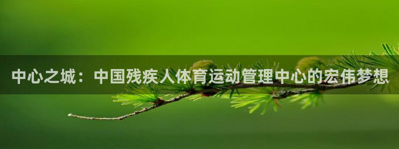 千亿国际官方正版app神州:中心之城:中国残疾人体育运动管理