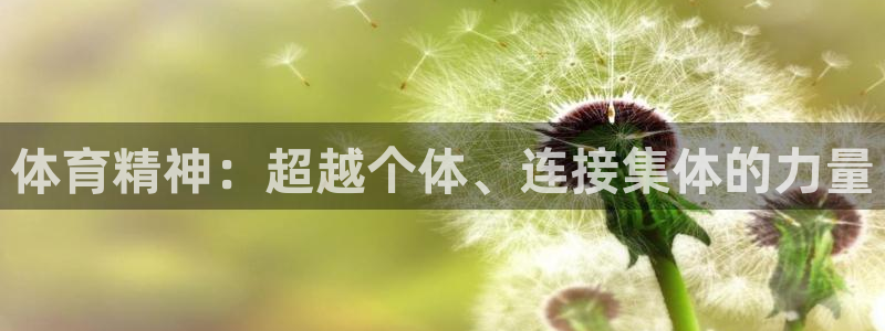 千亿国际官网下载招商电话是多少号码:体育精神:超越个体、连接
