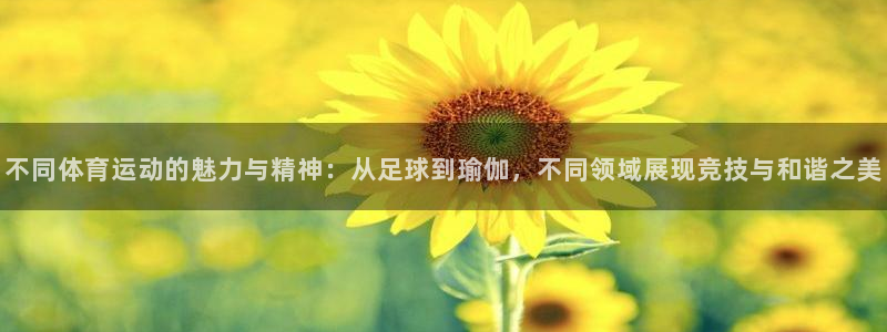千亿国际官网下载平台注册要钱吗:不同体育运动的魅力与精神:从