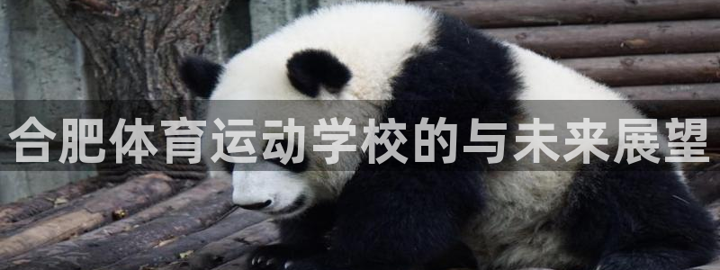 千亿国际官网下载招商电话是多少号码:合肥体育运动学校的与未来