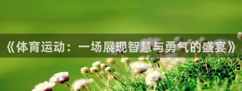千亿国际官网下载招商电话是多少:《体育运动:一场展现智慧与勇