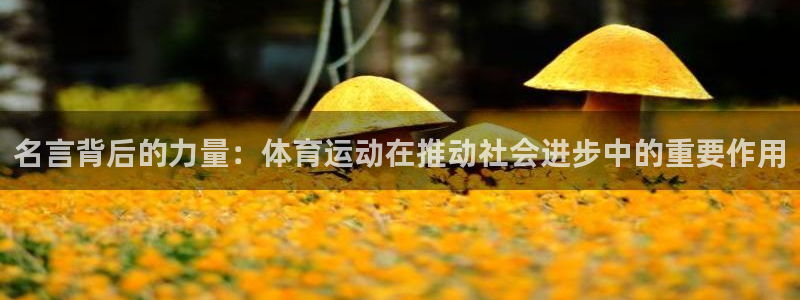 千亿国际官网下载招商电话地址是多少:名言背后的力量:体育运动